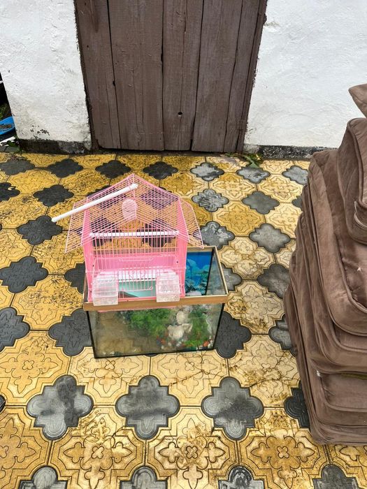 Всё что на фото. аквариум