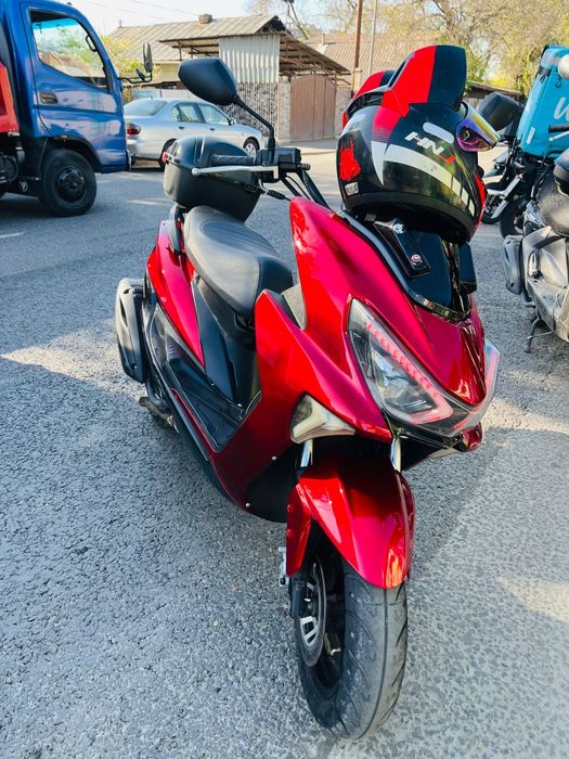 Макси Лия матор Бе минус