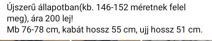 Geaca The North Face