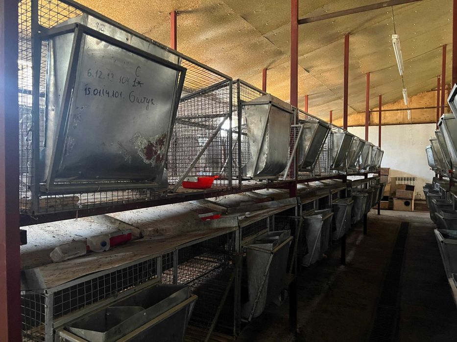 клетки для кроликов