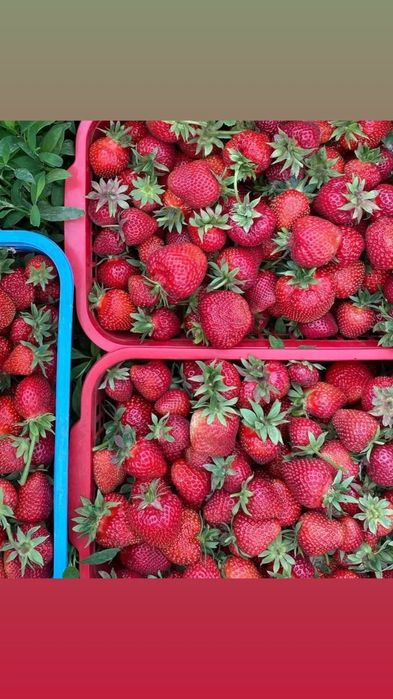 Продам дачный участок