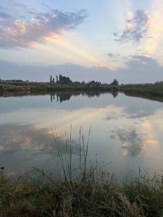Рыбалка! Проточная вода, клев супер
