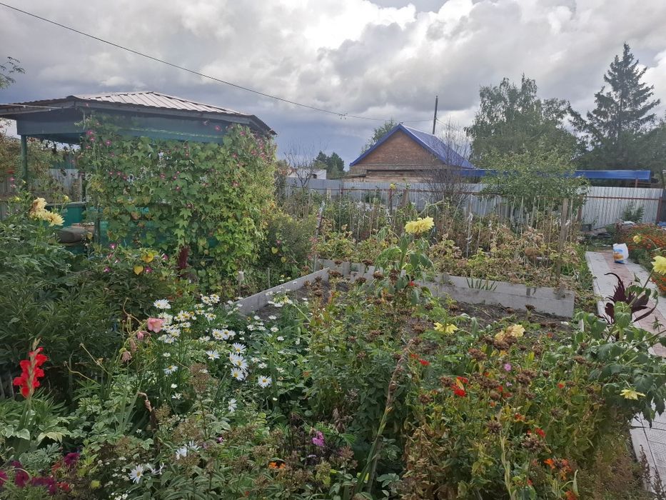 Дача в обществе Бригантина