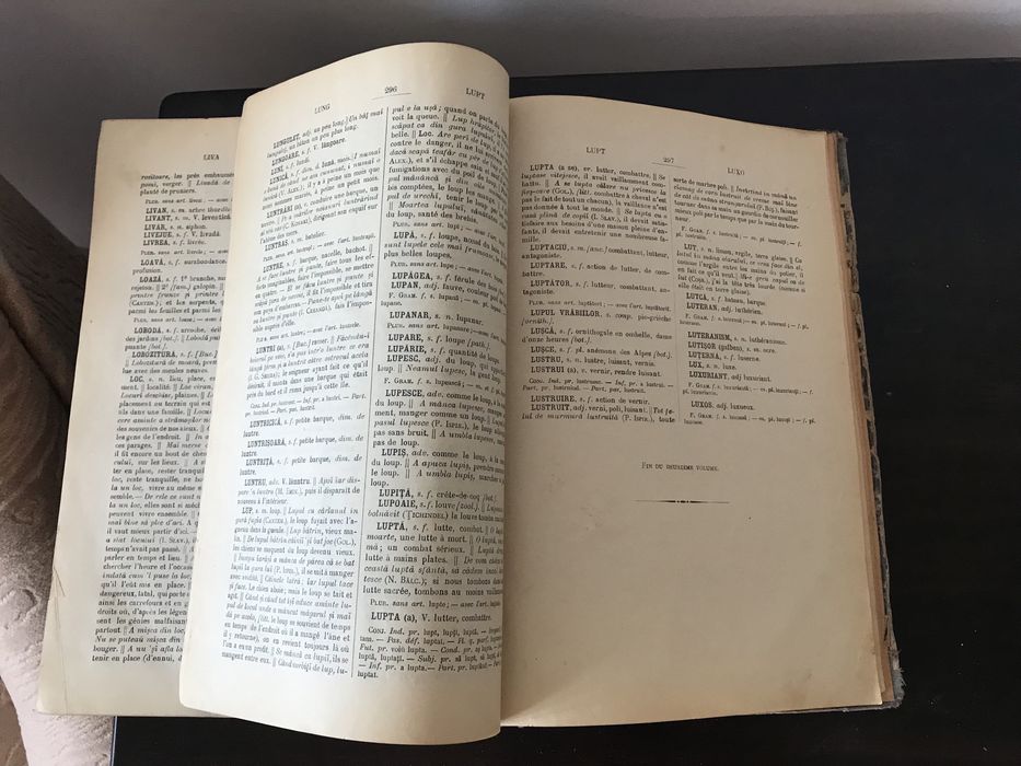 Frederic Dame, Nouveau Dictionnaire Roumain-Francais