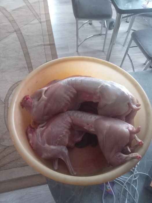 Кролики и мясо кролика.