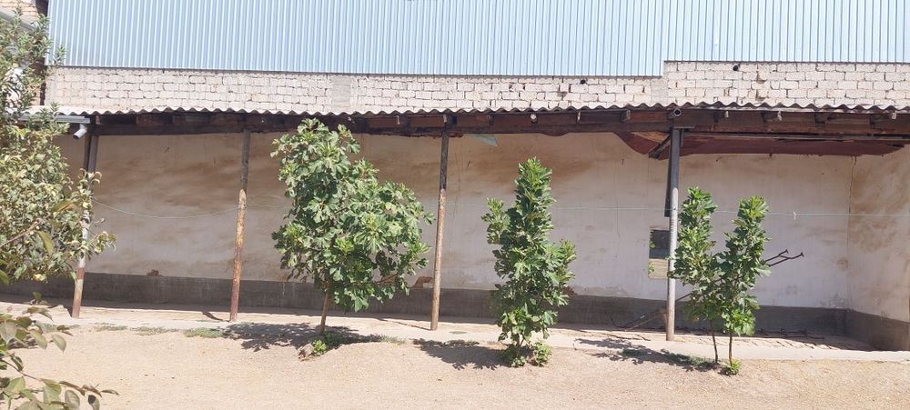 Уй-ер Белтепа Шайхонтохур 3сотих сотилади. Янги Тошми.