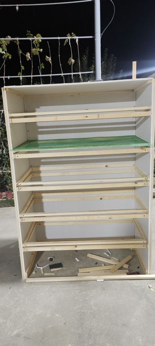 Bedana va bedanan in