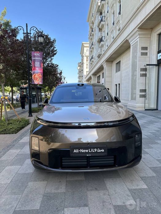 Новый Liauto Livis L9