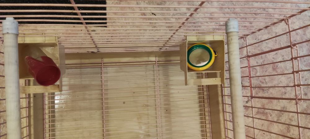 Клетка для попугаев 30 000тг