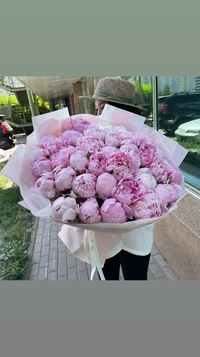 Крупные сорта гортензии пионы роз