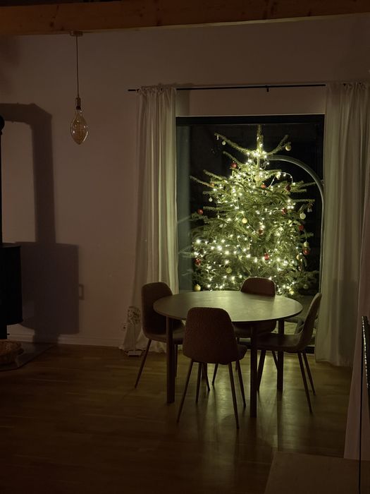 Scaune de bucatarie/living