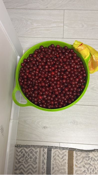 Продам вишню спелая со своей дачи