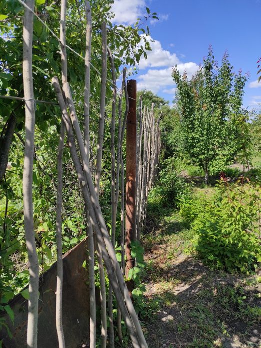 Продам дачу, район Кордиологии.