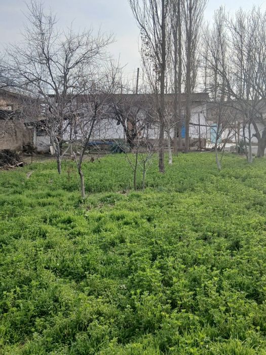 Бордонкўлда ҳовли сотилади.