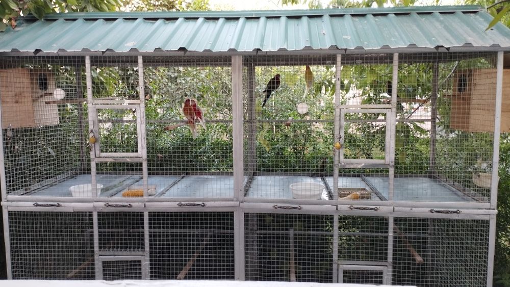 Qafas sotiladi продается валер