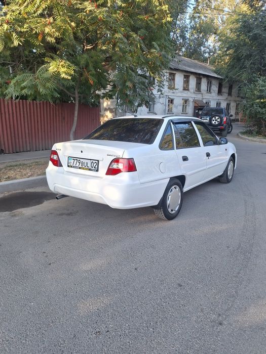 Продам корову алатау порода
