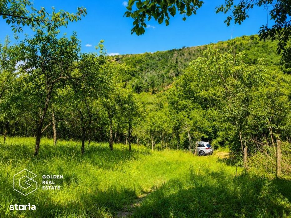 Teren intravilan, 1159 mp, localitatea Ghioroc