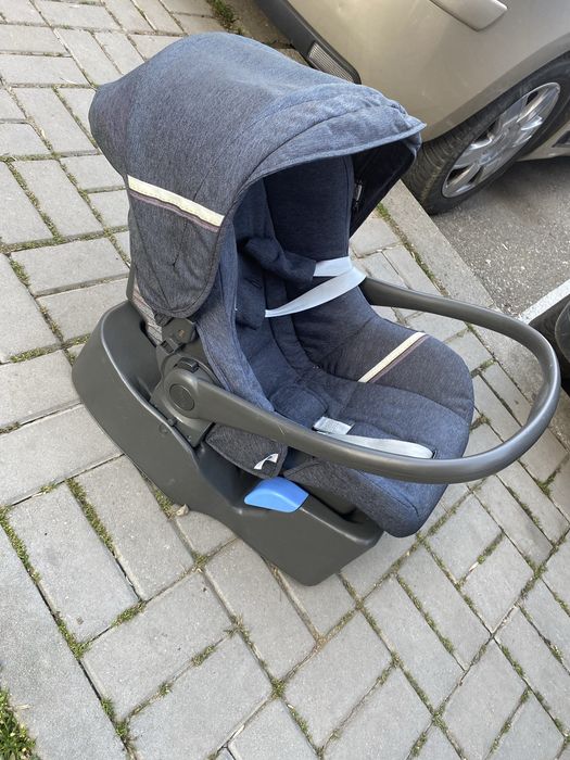 Scoica inglesina 0-12 luni