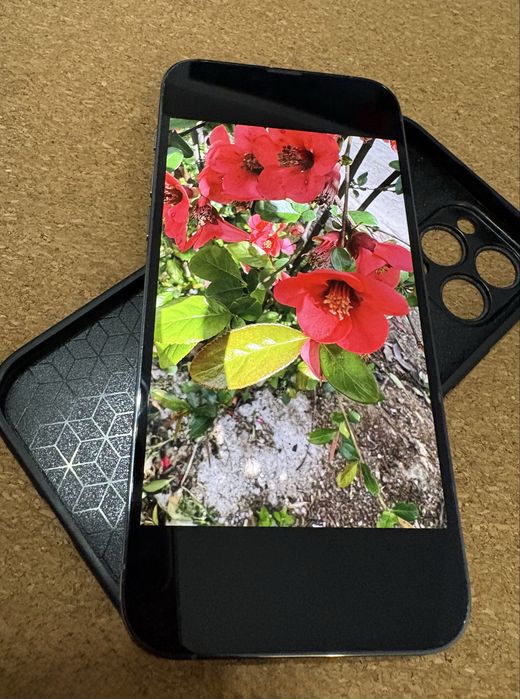 iPhone 13 Pro Max 128 GB