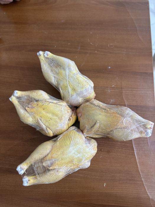 Бройлер  цыплята