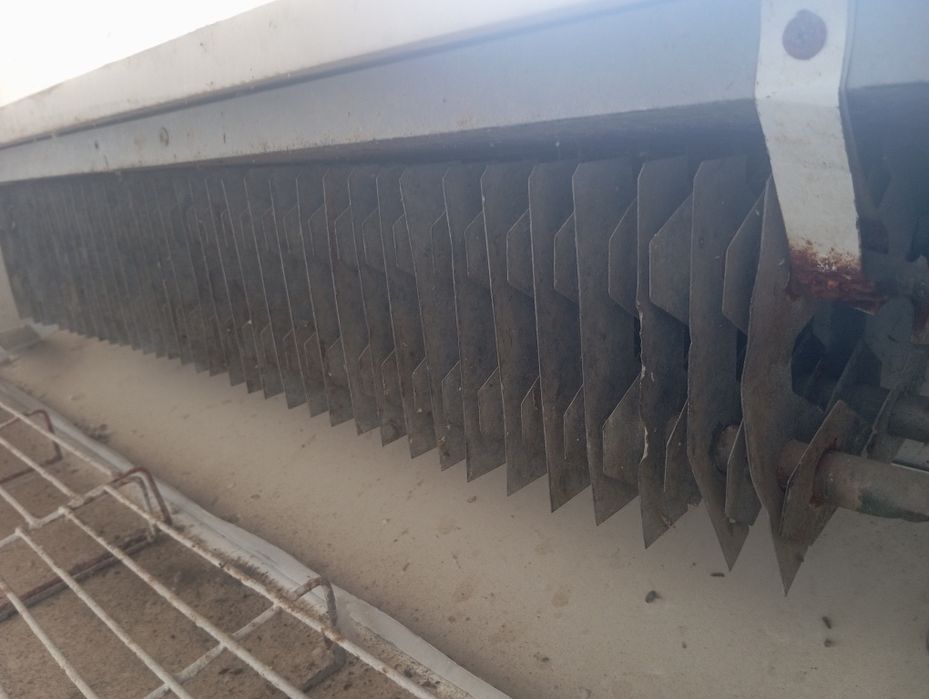 Veterena sotiladi hammajoyi sogʻlom hamma narsasi ishlaydi