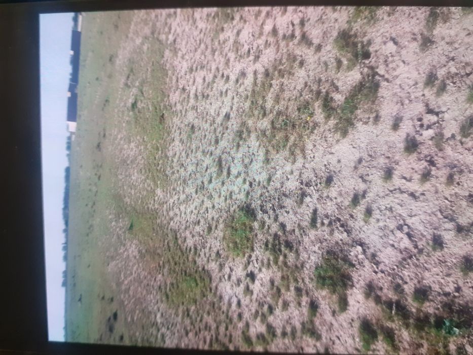 6-sotixli yer sotiladi