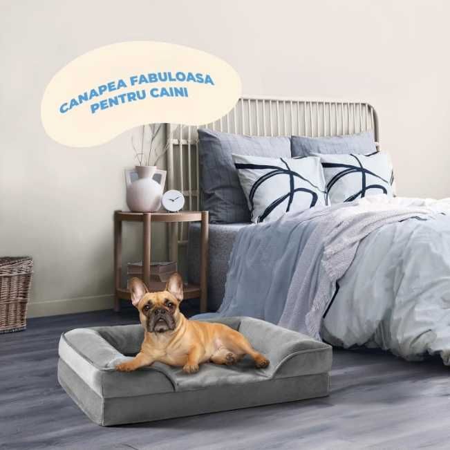 Pat pentru Caini Elindor