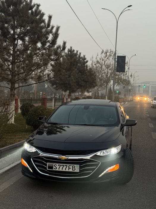 Malibu 2 premer 2022 kraska top tozza