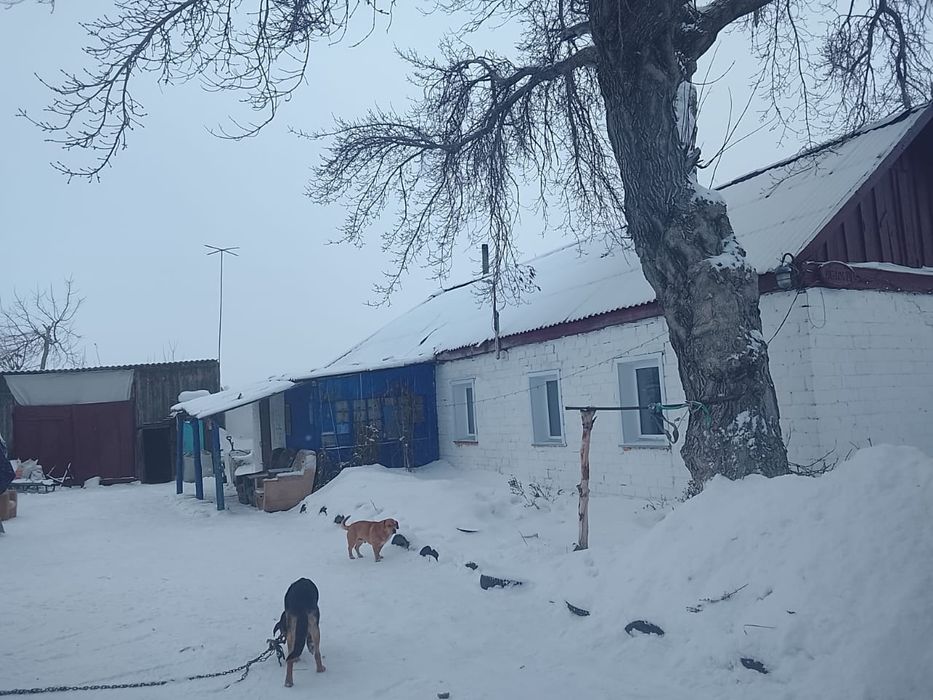продам в рассрочку 6 комнат