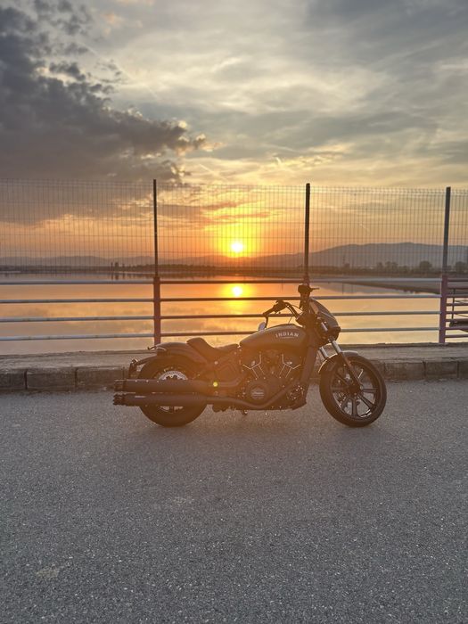 Indian Scout Rogue