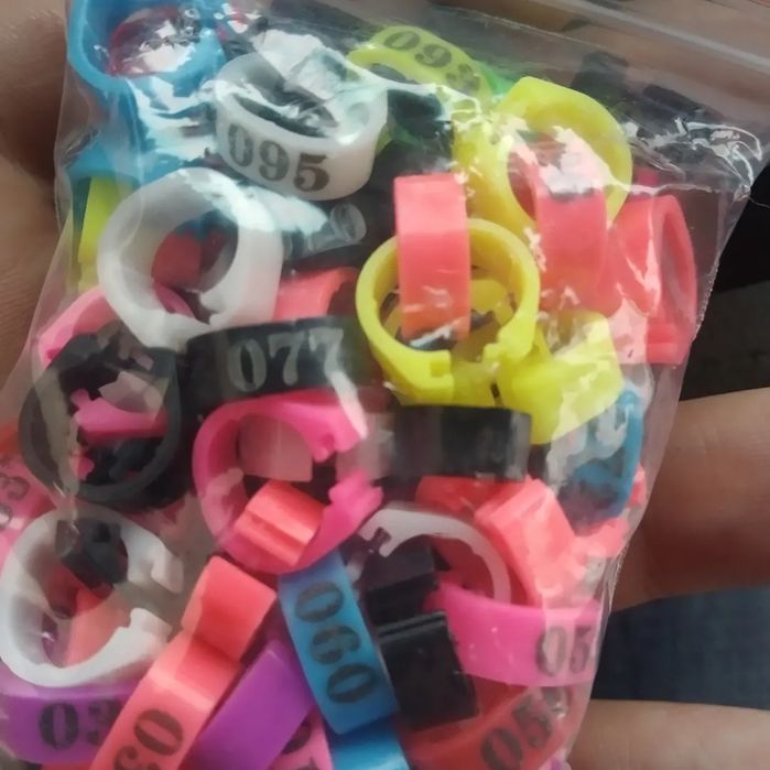 Кольца для птиц голубь перепел