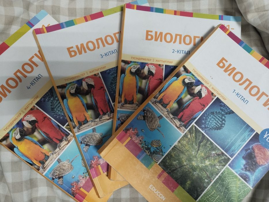 Educon ҰБТ ға дайындық бушный