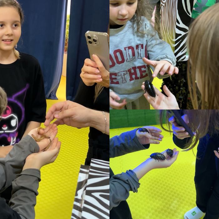 Шоу «Кажется, нащупал!» на праздник