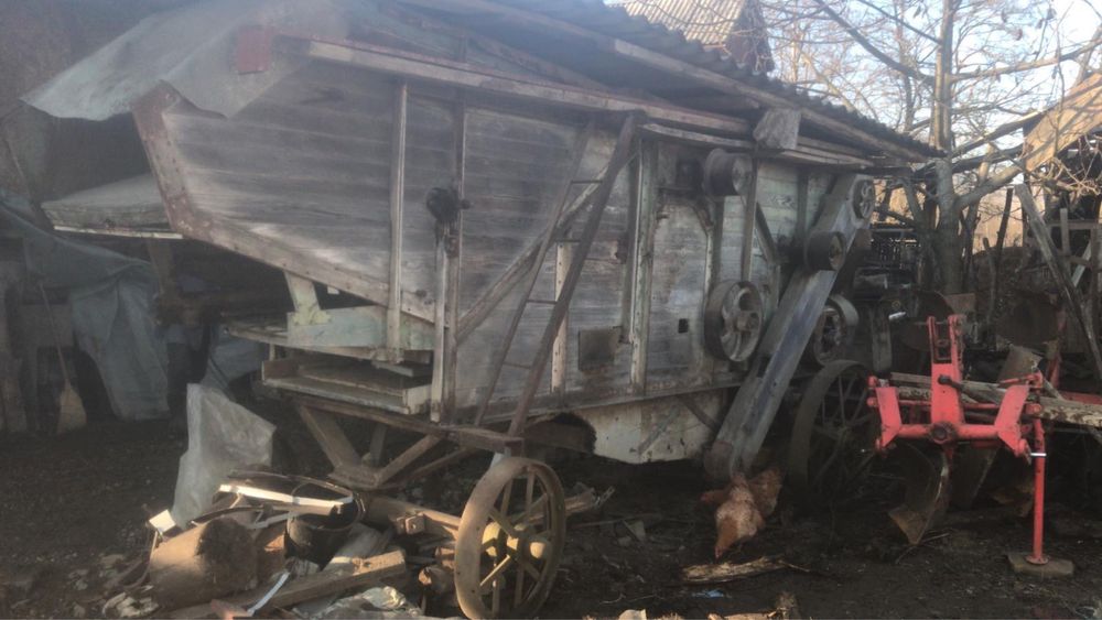 Batoza lucerna, trifoi, grau