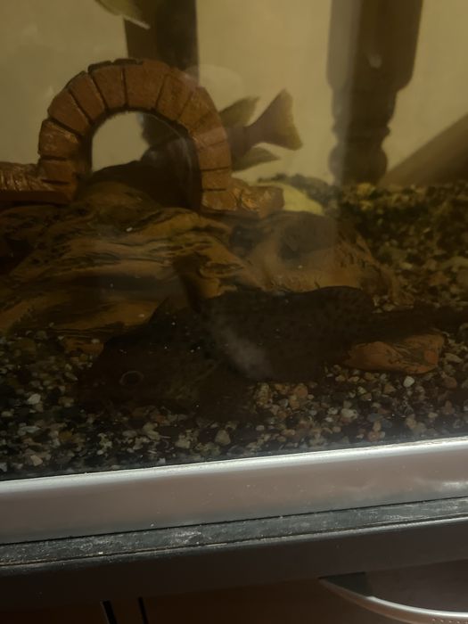 Аквариум 220 литров с тумбой