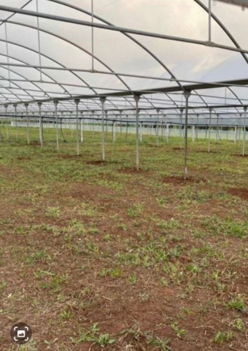 Оранжерия подцинкована