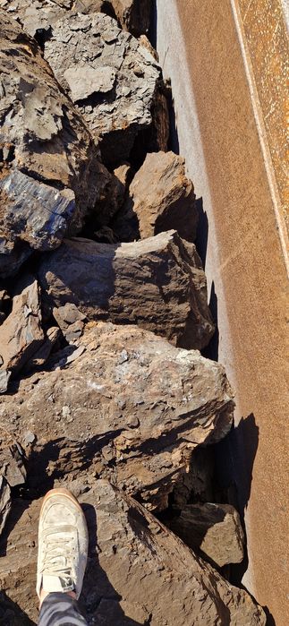 Carbune lignit  și Lemne