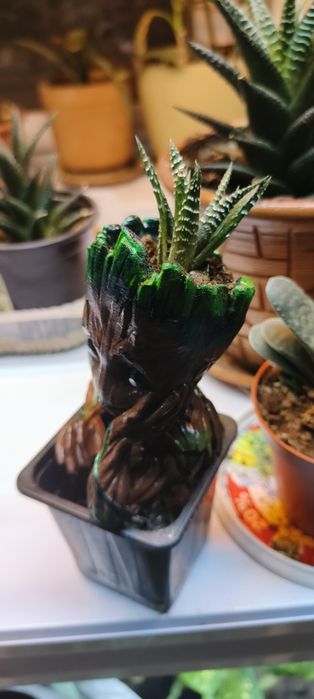 Грут и каменное сердце