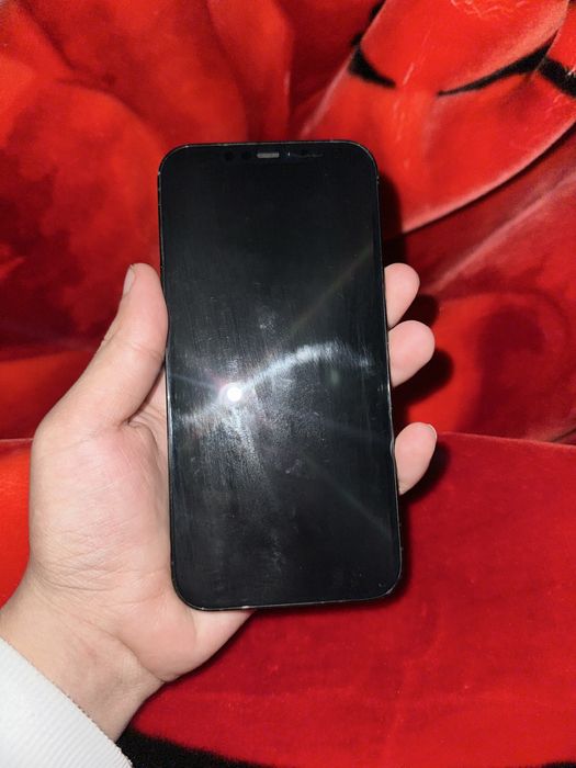 Iphone 12 pro max 256 gb