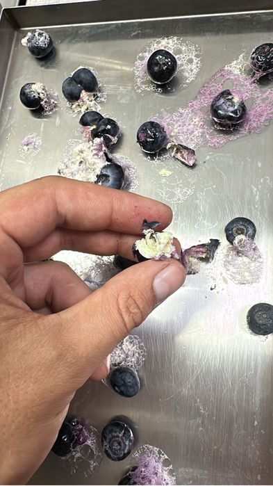 Сублиматор- сушилка.