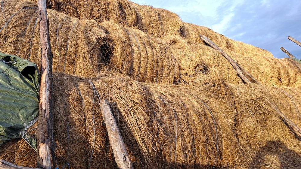 Vând baloți mari Fân
