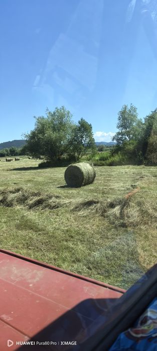 Baloți de fân 150 Lei și de  lucernă 200 lei în jud Brașov Veneția de jos