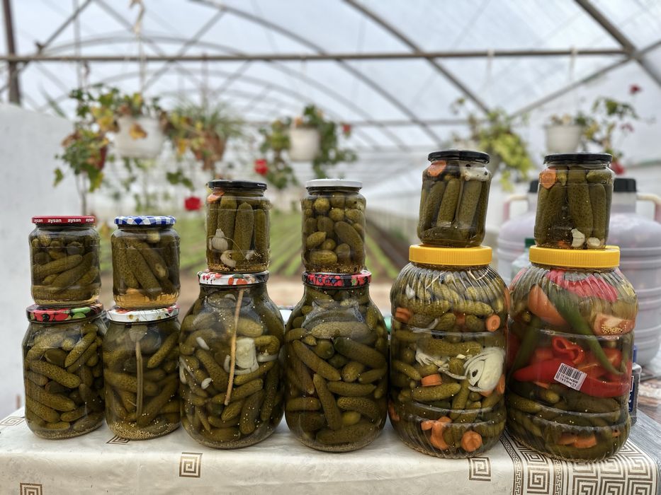 Gogonele murate, sau muraturi asortate la Saramura!