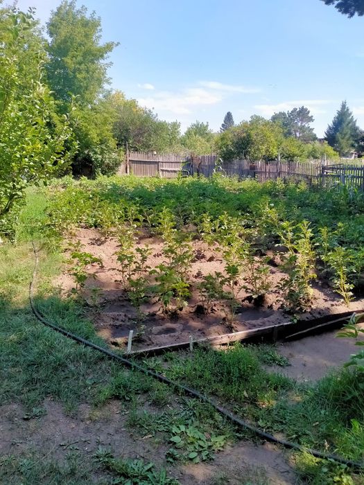 Продам дачу мелиаратор