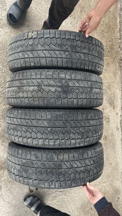 Қысқы донғалақтар. Зимный балон