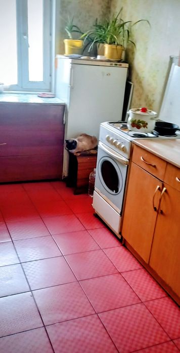 Продаётся дом отдельный