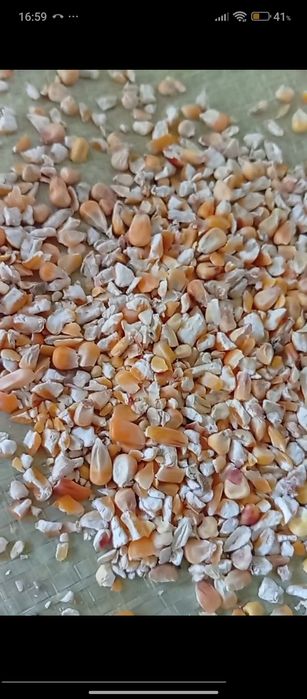 Johori drabilka qilingan makka drabilka жохори оптом  дробилка  150тон