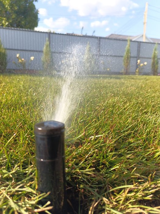 Озеленение участка