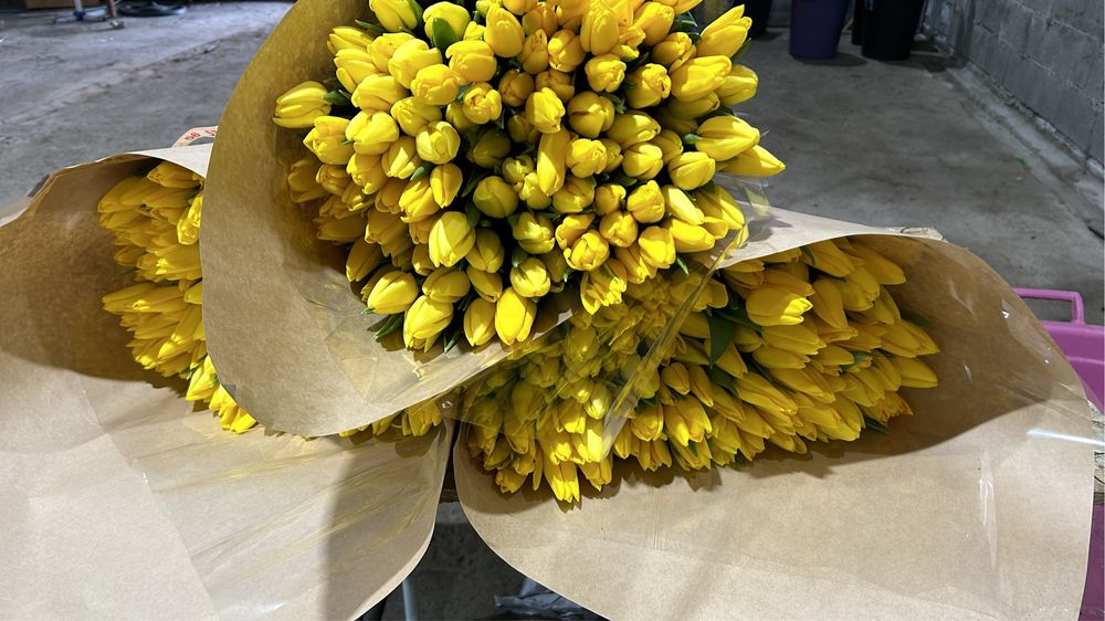 Тюльпаны к восьмому марта оптом