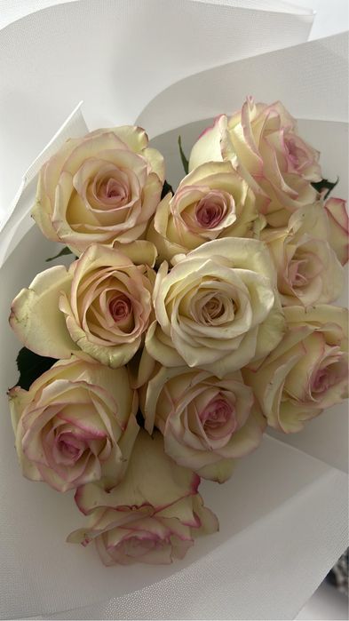 11 штук свежие розы